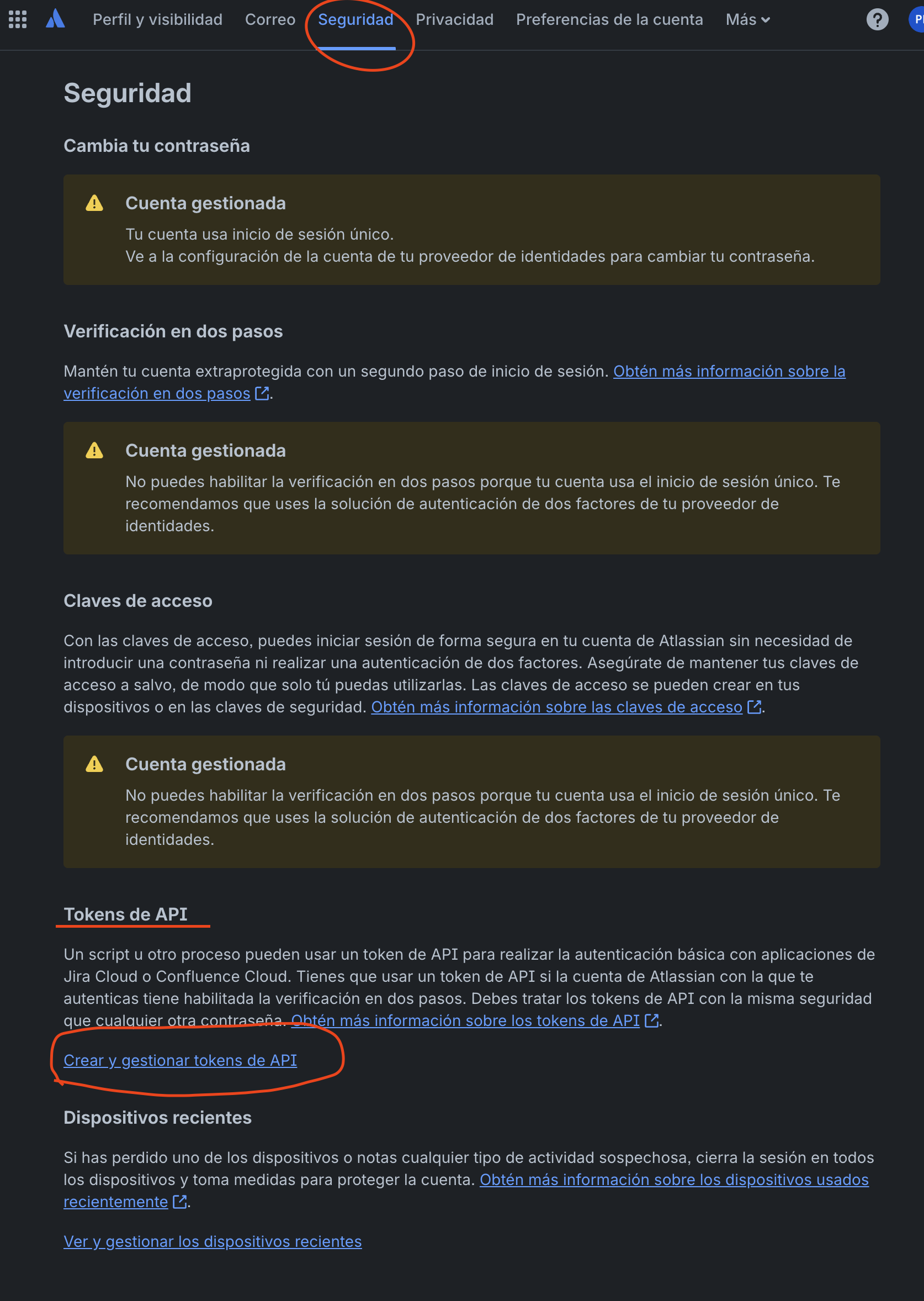 Pestaña Seguridad → Crear y gestionar tokens de API